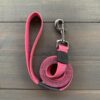 Trail Industries | Wilderdog | Plum Waterproof Leash