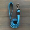 Trail Industries | Wilderdog | Teal Waterproof Leash