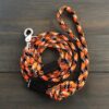 WilderDog Rock Climbing Rope Dog Leash with Quick Clip