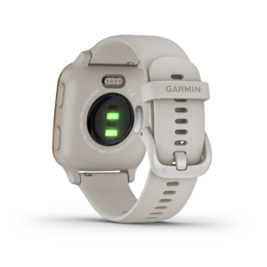 fitbit ionic vs garmin forerunner 35