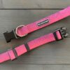 Trail Industries | Wilderdog | Plum Waterproof Collar