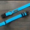 Trail Industries | Wilderdog | Teal Waterproof Collar